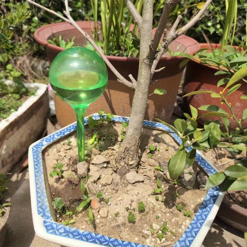 6PCS Indoor Plants Self Wateri - Smart Garden Furniture 评论和价格