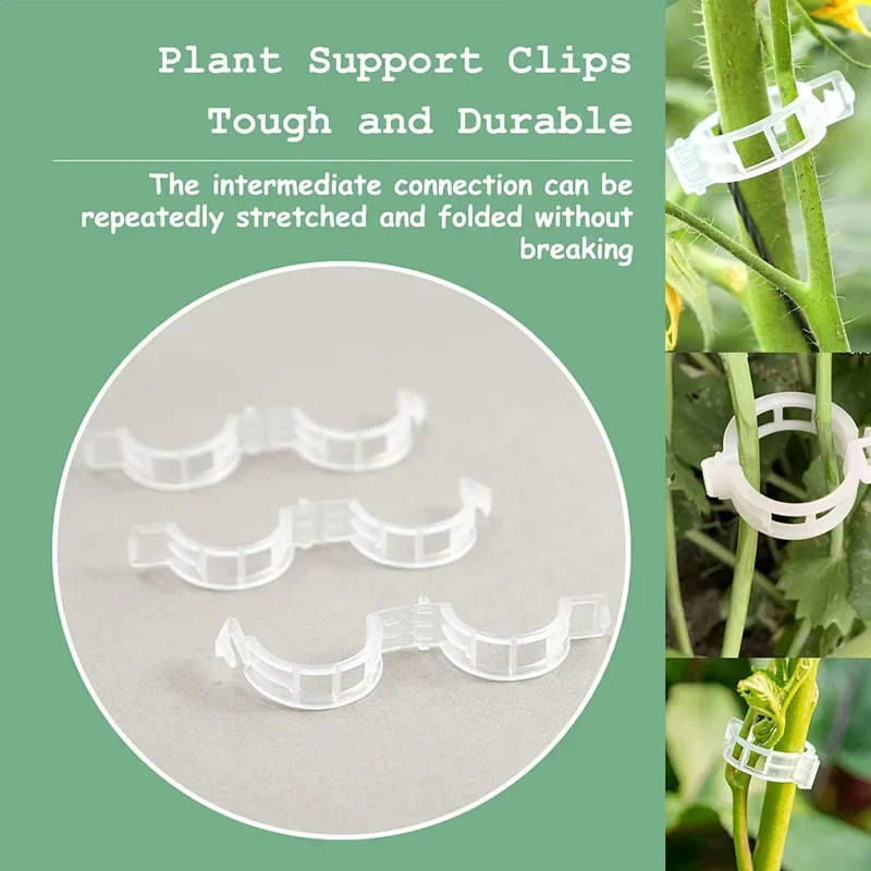 100PCS Plant Fixing Clips Reus - Smart Garden Furniture 评论和价格