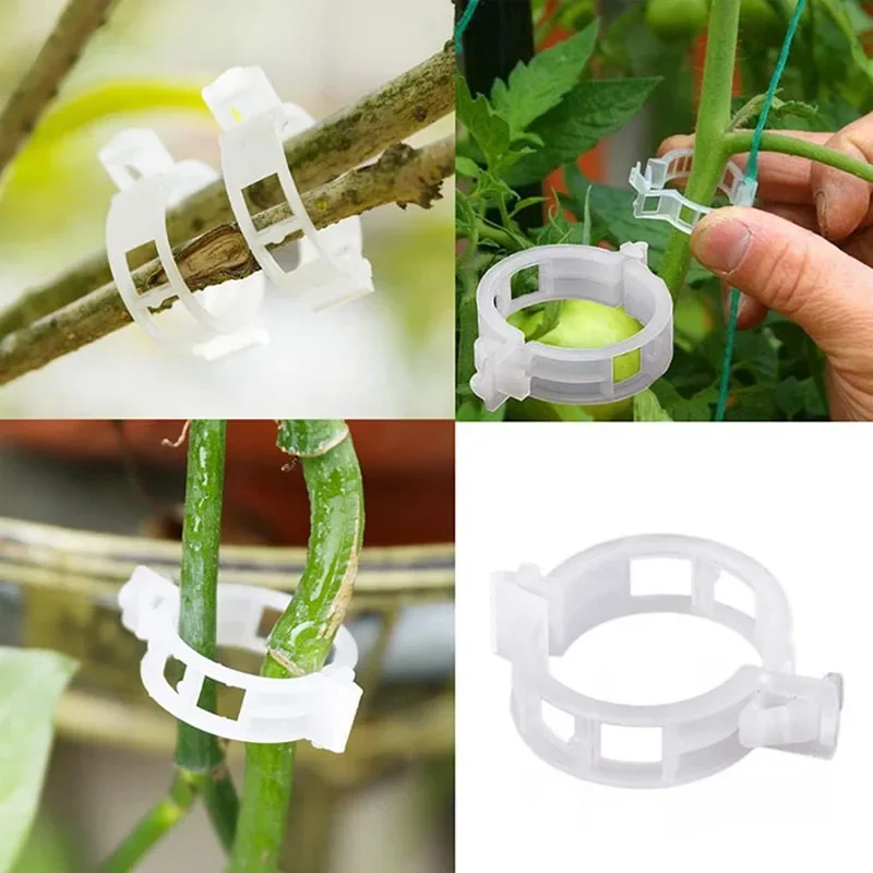 100PCS Plant Fixing Clips Reus - Smart Garden Furniture 评论和价格
