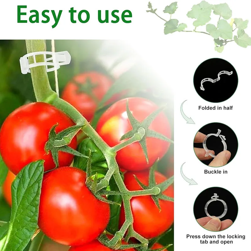 100PCS Plant Fixing Clips Reus - Smart Garden Furniture 评论和价格