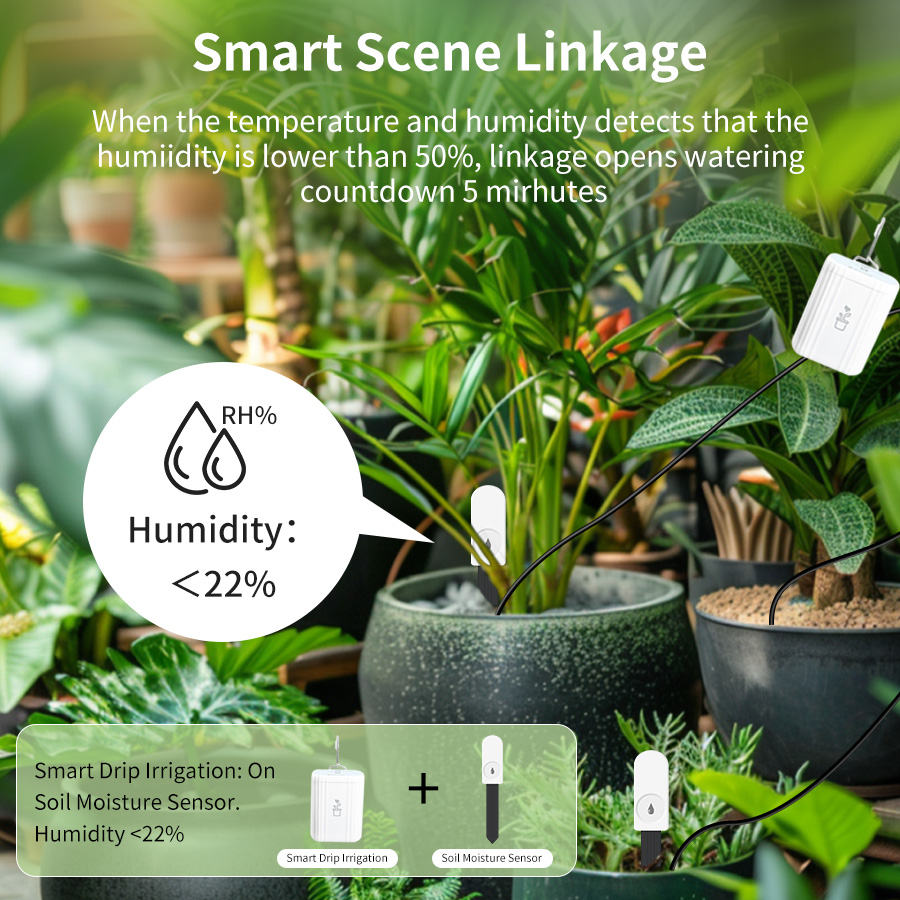 Smart Zigbee 3.0 Soil Tester H - Smart Garden Home 评论和价格