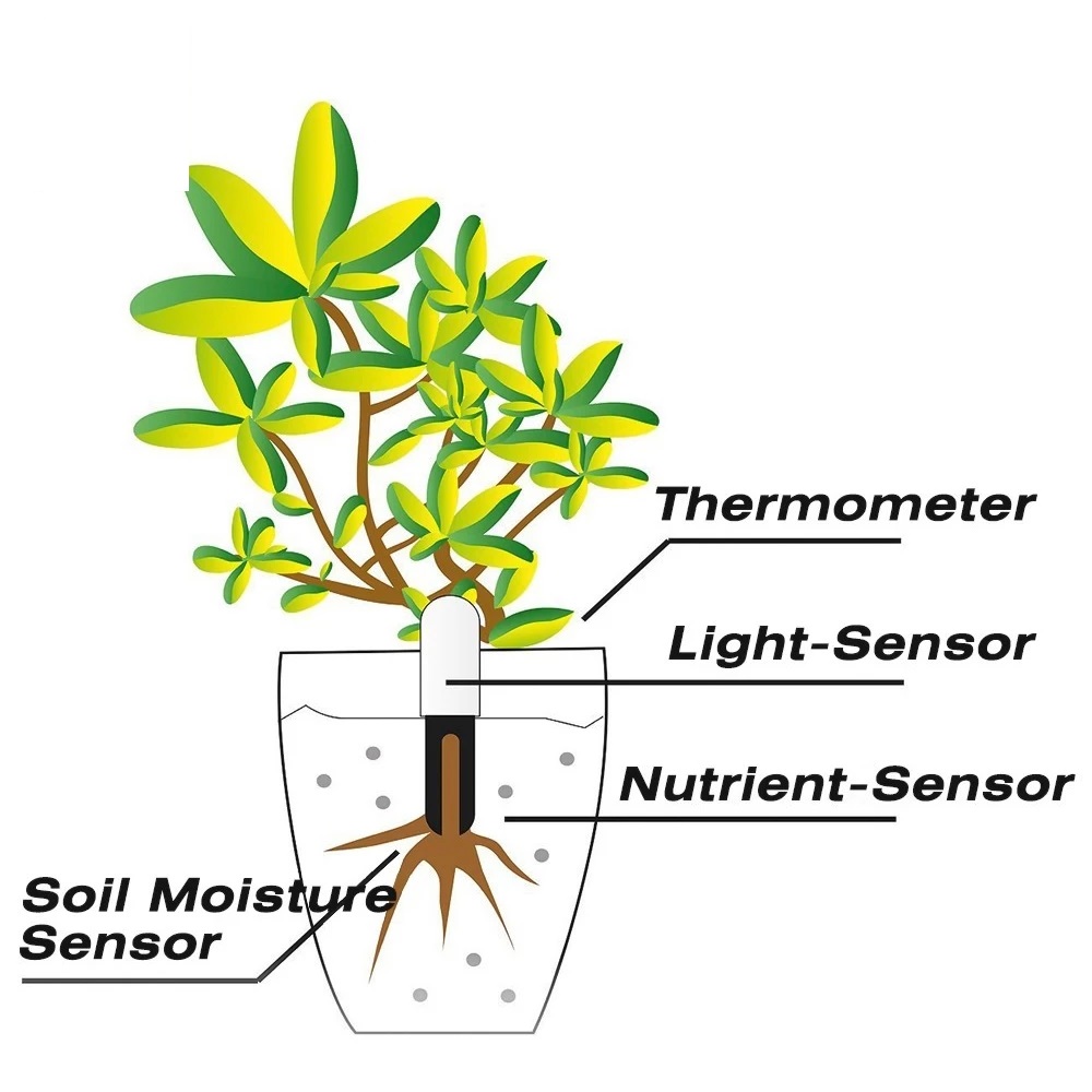 HHCC Flower Monitor Flora Gard - Smart Garden Products 评论和价格