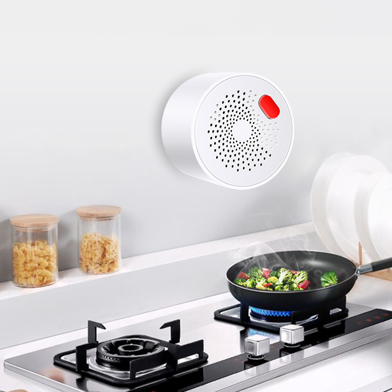 Tuya Smart Home Wifi Natural G - Smart Garden Home 评论和价格
