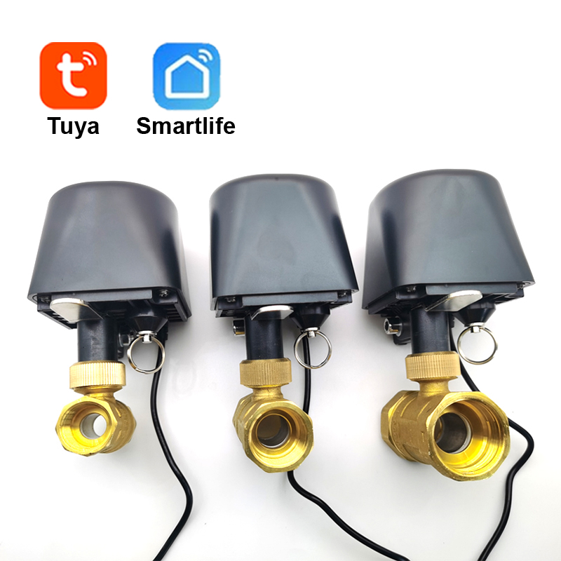 Tuya WiFi or Zigbee Water Valv - Smart Garden Home 评论和价格